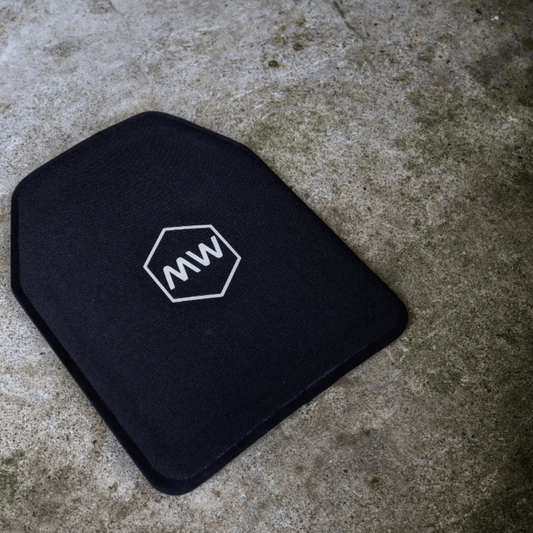 LEVEL IV PLATE SET (2 Plates)