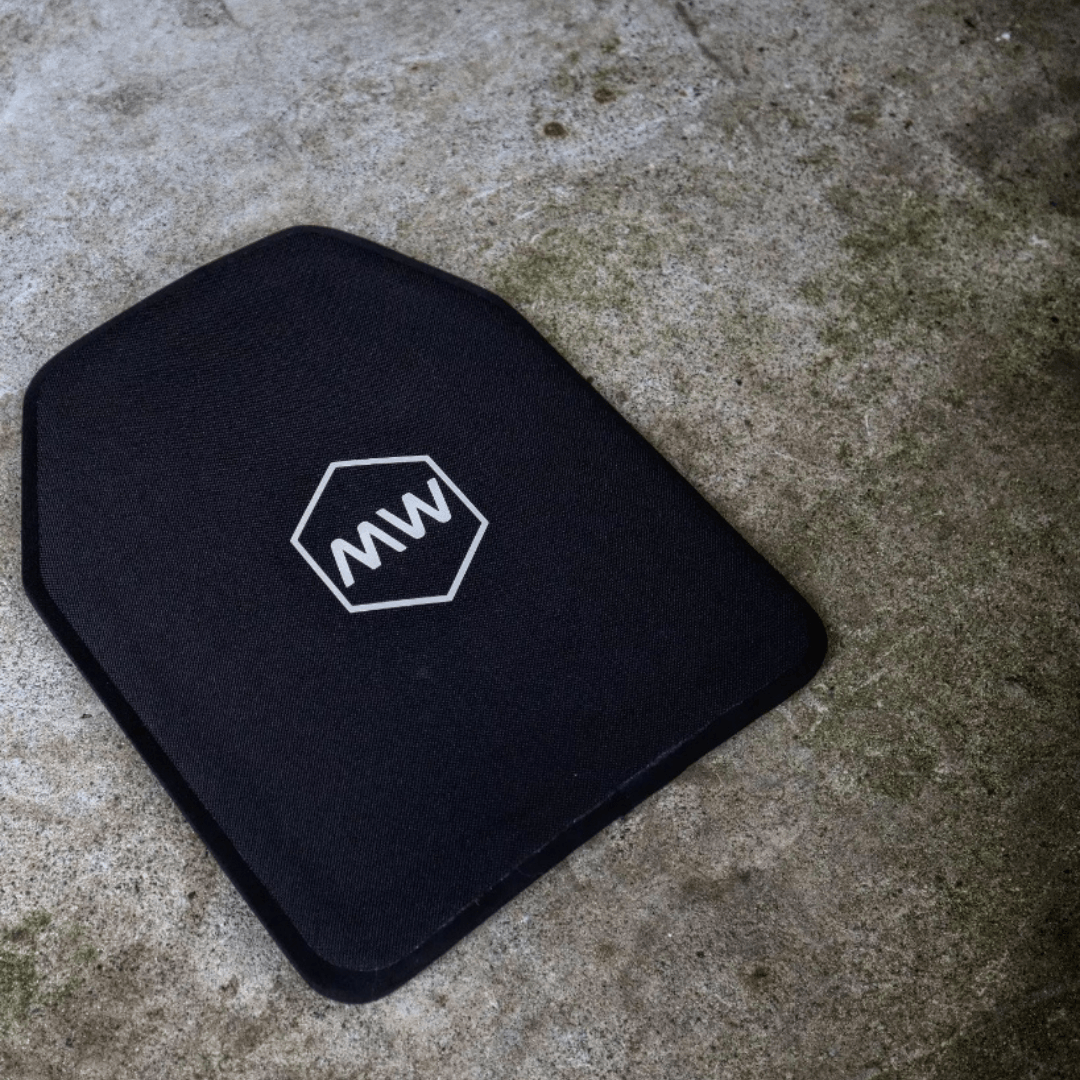 LEVEL IV PLATE SET (2 Plates)